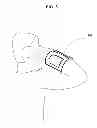Fig. 04 - Wearable display