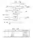 Fig. 10 - IC with comparator receiving expected and mask data from pads