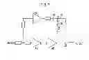 Fig. 05 - Power amplifier
