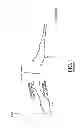 Fig. 02 - RF power transistor circuits