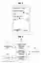 Fig. 05 - METHOD OF CONVERTING AUDIO SIGNAL TO HAPTIC SIGNAL AND APPARATUS THEREOF