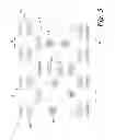 Fig. 04 - Systems and methods for data compression and parallel, pipelined decompression