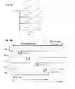 Fig. 06 - Anti-aliasing sampling circuits and analog-to-digital converter