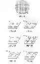 Fig. 06 - Architecture for seamless integrated display system