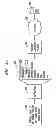 Fig. 03 - System and method of dynamically generating a frequency pattern to realize the sense of touch in a computing device