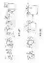 Fig. 06 - 3D manipulation using applied pressure