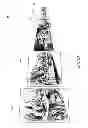 Fig. 03 - Scrolling 3D presentation of images
