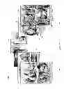 Fig. 04 - Scrolling 3D presentation of images