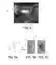 Fig. 03 - Depth dependent filtering of image signal