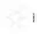 Fig. 08 - Using genetic algorithm to design 2-dimensional procedural patterns