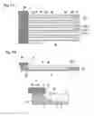 Fig. 07 - Liquid jet head, liquid jet apparatus, and method of manufacturing liquid jet head