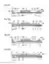 Fig. 09 - Liquid jet head, liquid jet apparatus, and method of manufacturing liquid jet head