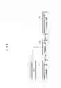Fig. 13 - Information processing system, information processing method, and program
