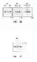 Fig. 08 - IMAGE PROCESSING APPARATUS AND IMAGE REFOCUSING METHOD