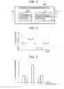 Fig. 06 - Image processing apparatus, image processing method and program