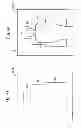 Fig. 07 - VEHICLE OCCUPANT DETECTION DEVICE