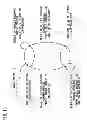 Fig. 14 - VEHICLE OCCUPANT DETECTION DEVICE