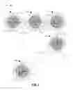 Fig. 02 - Optical Device Including a Mode for Grouping Shots for Use with Precision Guided Firearms