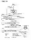 Fig. 43 - PHOTOGRAPHY-TASK-SPECIFIC DIGITAL CAMERA APPARATUS AND METHODS USEFUL IN CONJUNCTION THEREWITH