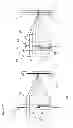 Fig. 16 - Imaging device, imaging system, and imaging method