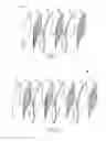 Fig. 02 - Curved Automatic-Darkening Filter