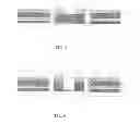 Fig. 04 - TFT ARRAY SUBSTRATE AND LIQUID CRYSTAL DISPLAY