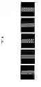 Fig. 09 - Liquid crystal display device