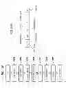 Fig. 11 - DRAWING APPARATUS, AND ARTICLE MANUFACTURING METHOD
