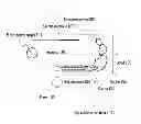 Fig. 02 - Apparatus for analyzing elements in liquid with controlled amount of gas supply for plasma generation