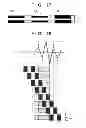 Fig. 17 - Image forming apparatus that controls image formation condition