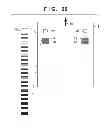 Fig. 23 - Image forming apparatus that controls image formation condition