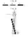 Fig. 31 - Image forming apparatus that controls image formation condition