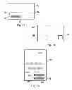 Fig. 17 - Methods and apparatuses for creating authenticatable printed articles and subsequently verifying them