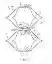 Fig. 06 - Feature for inhibiting light stripe between cellular elements in a covering for an architectural opening