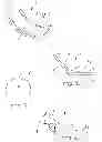 Fig. 02 - Mirror for mobile phone camera