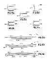Fig. 04 - Flexible apparatus structure