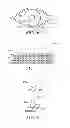 Fig. 04 - FLEXIBLE STRIP WITH LIGHT ELEMENTS FOR PROVIDING ILLUMINATION SUITABLE FOR IMAGE CAPTURE