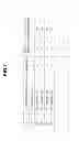 Fig. 06 - Lighting Batten and Lighting System