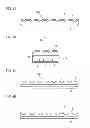 Fig. 07 - Optical element, optoelectronic component and method for the production thereof