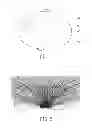Fig. 02 - LENS STRUCTURE OF A LIGHT EMITTING DIODE