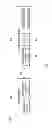 Fig. 02 - Bicycle direction light control system and method thereof