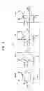 Fig. 05 - Common source semiconductor memory device