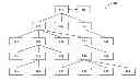 Fig. 01 - SYSTEM AND METHOD FOR DISPLAYING NETWORK DATA