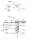 Fig. 04 - System and method for MAC design of a full-duplex centralized cellular network