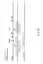 Fig. 17 - Systems and methods for coexistence of WLAN and bluetooth networks