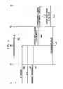 Fig. 06 - COMMUNICATION METHOD OF BASE STATION AND TERMINAL IN COMMUNICATION SYSTEM INCLUDING RELAY