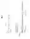 Fig. 02 - METHOD AND APPARATUS FOR ACQUIRING SYNCHRONIZATION IN RADIO COMMUNICATION SYSTEM
