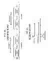 Fig. 03 - Radio station, radio terminal, and synchronization timer control method in radio communication system