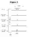 Fig. 04 - Method and apparatus for transmitting data frame in WLAN system
