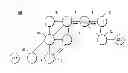 Fig. 01 - Segment routing techniques